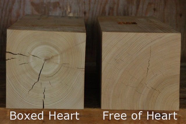 Comparison of boxed heart timber and free of heart timber